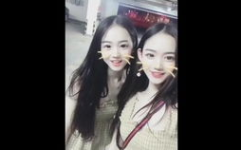 小姐姐小兔兔图片,小姐姐与小兔兔的温馨邂逅