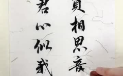 小姐姐书法创作,小姐姐书法艺术创作风采展现