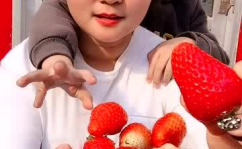 草莓小姐姐和橙子小姐姐,甜蜜碰撞，共绘美好篇章