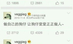 山东小姐姐投稿微博,展现齐鲁风情，分享生活点滴